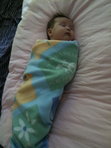 Swaddled, pacified and put to sleep. *sigh*